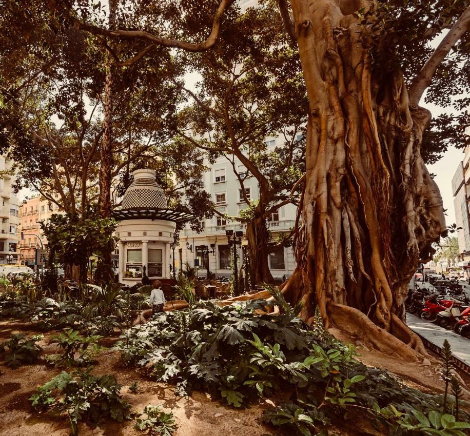White Loft Αλικάντε Εξωτερικό φωτογραφία