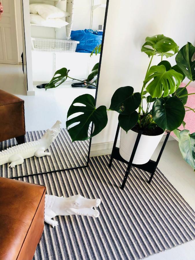 White Loft Αλικάντε Εξωτερικό φωτογραφία